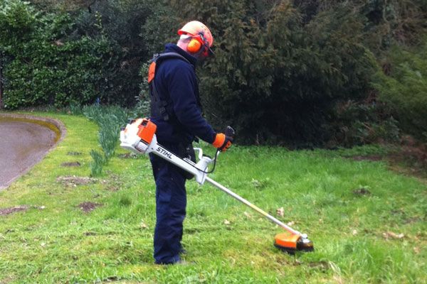 Strimmer and Brushcutter