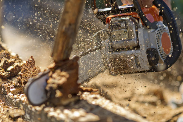 Close Up of Chainsaw
