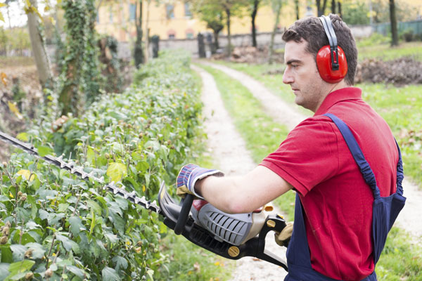 Hedge Trimmer