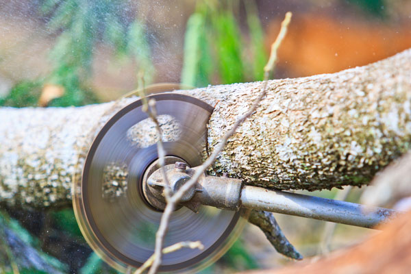 Pole Pruning