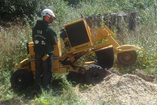  Stump Grinding Operations