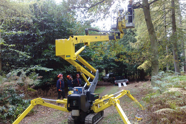 Operate a Chainsaw on a MEWP